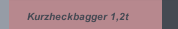 Kurzheckbagger 1,2t