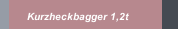 Kurzheckbagger 1,2t